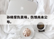 亚博中国官网-孙杨受伤离场，伤情尚未公布。