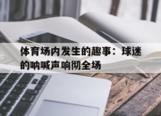 亚博体育官网-体育场内发生的趣事：球迷的呐喊声响彻全场